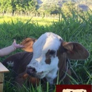 Meet your Posher, Noemi